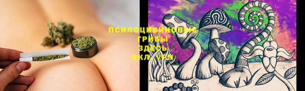 прущий лед Каменногорск