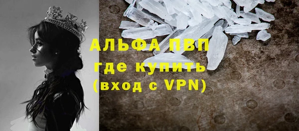 стаф Карпинск
