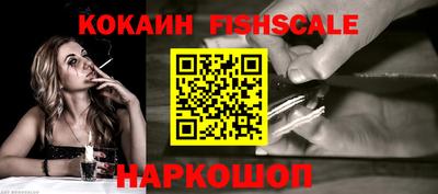 мет Кингисепп