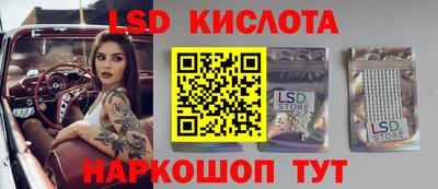 гидропоника Камышлов